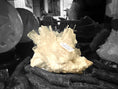 Load image into Gallery viewer, Rare Selenite Specimen - REIKI LUNAS, CRAFTS & ARTISAN
