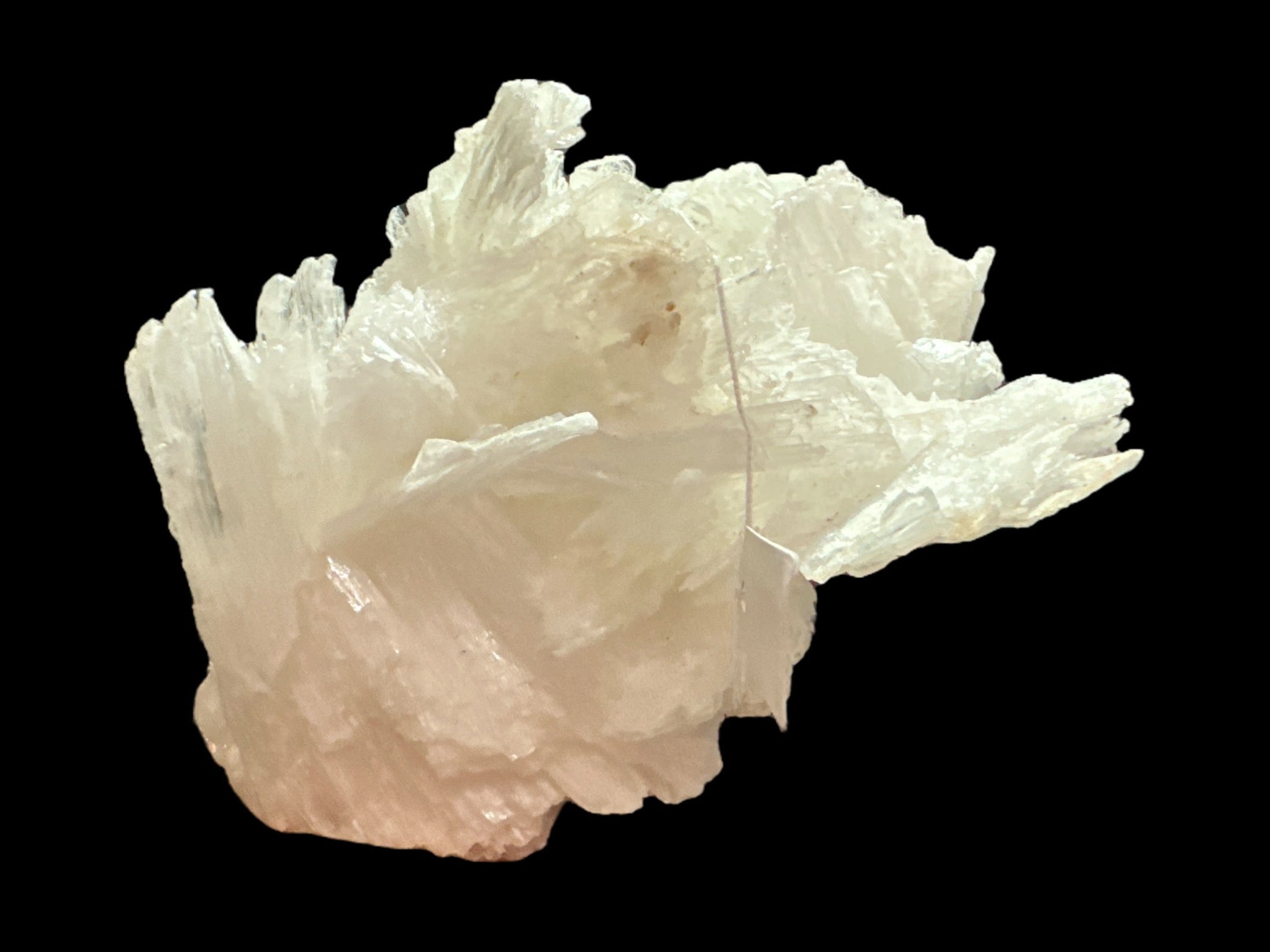 Rare Selenite Specimen - REIKI LUNAS, CRAFTS & ARTISAN