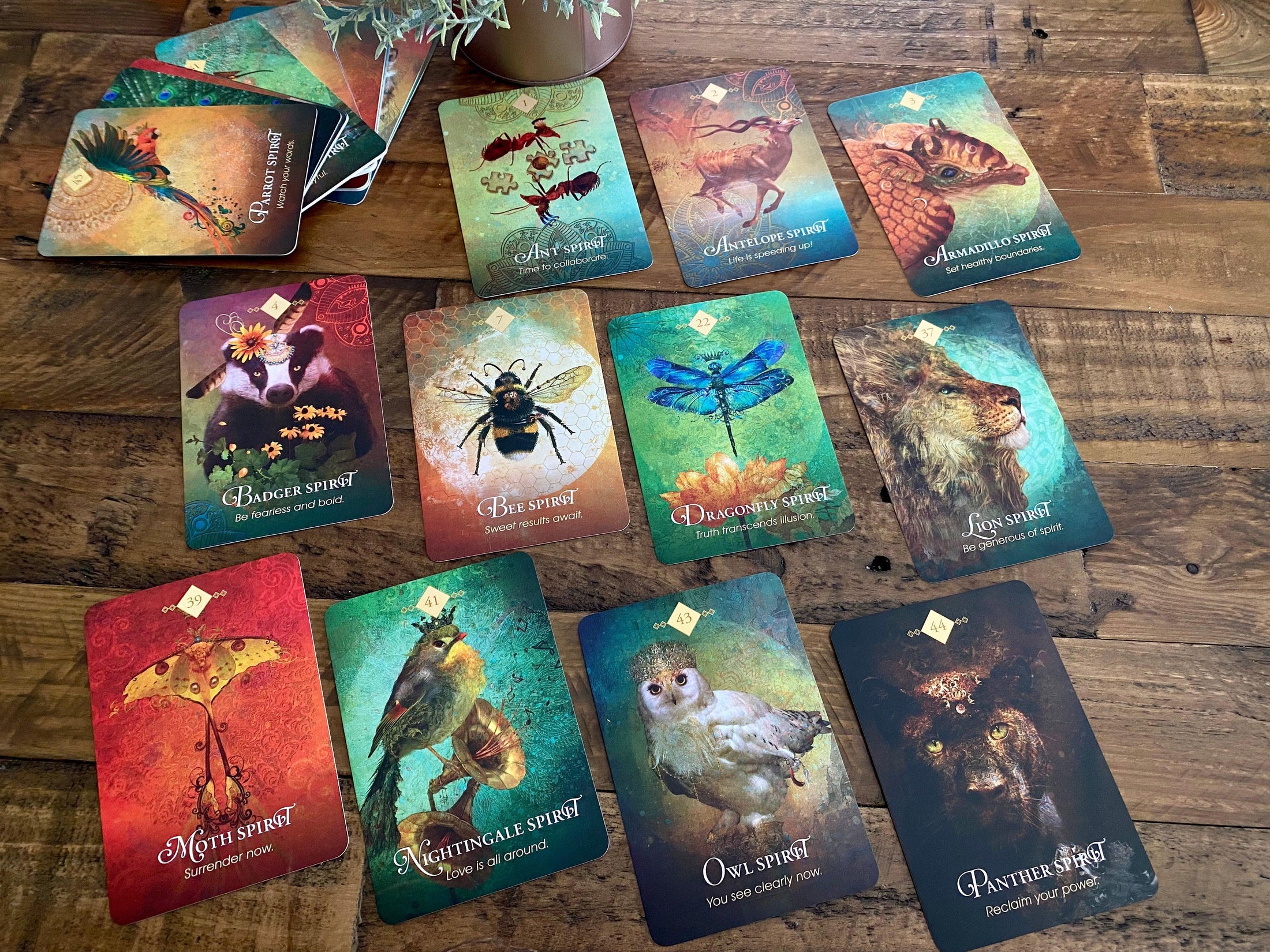 The Spirit Animal Oracle Cards with Guidebook - Blu Lunas Shoppe